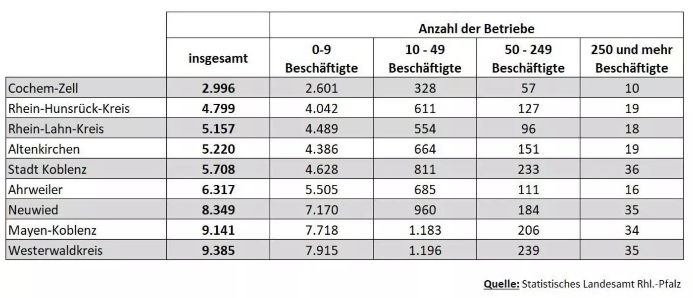 2021-06-08 Betriebe 2019 nach Beschaeftigungsgroessenklassen Vgl LK Tabelle 2933